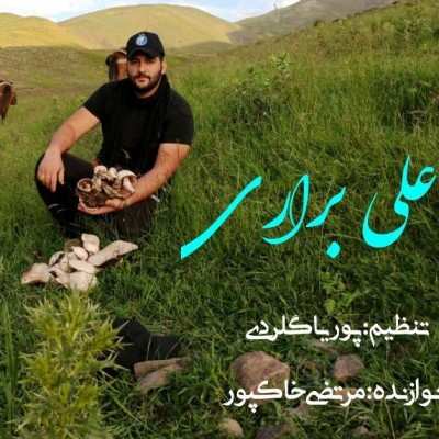 دانلود آهنگ صحرایی مردی علی براری